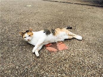 《星刃》性感女主逼真养眼 西方玩家好羡慕