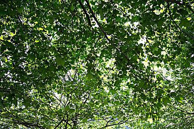 《博德之门3》总监：“邪恶结局”会让玩家很满意